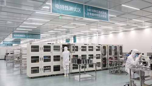 張家口的風，點亮北京的燈——海歸青年在綠色能源浪潮中顯身手