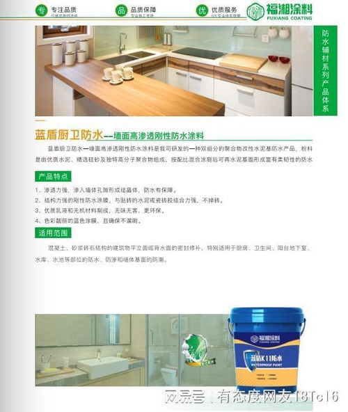 從技術(shù)到服務(wù) 實(shí)力防水涂料廠家的全鏈路解析與信息技術(shù)咨詢(xún)服務(wù)